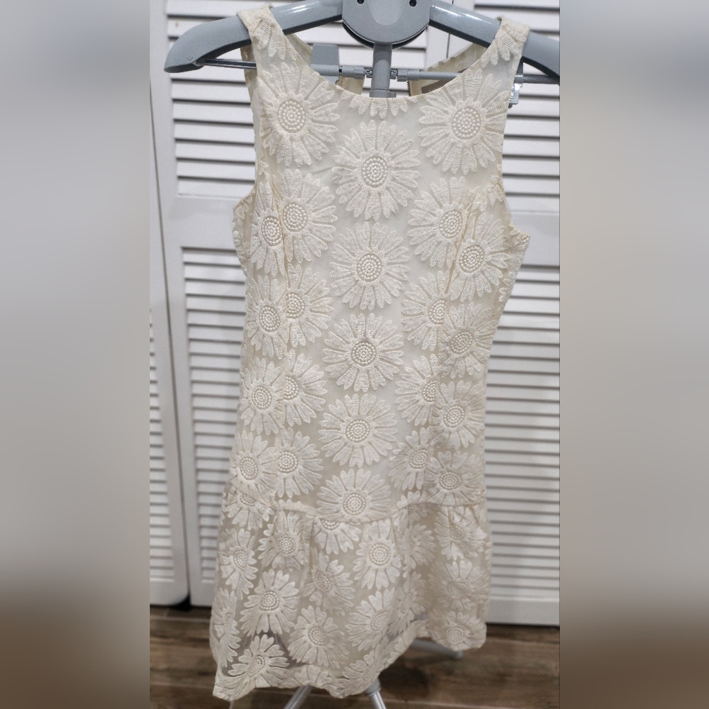 Banana Republic Cream Floral Lace Dress